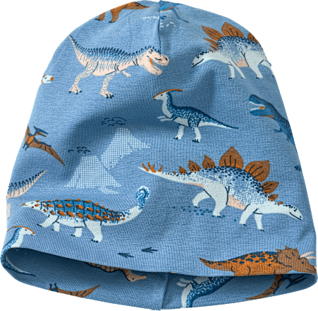 Beanie Pro Climate met dinosaurussenpatroon, blauw, maat 54/55, 1 stuk