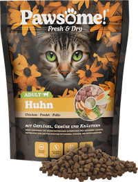 Droog kattenvoer met gevogelte, groenten en kruiden, vers en droog, 750 ml