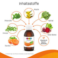 Vitaminbuddy 17 Vitaminen &amp; Sporenelementen, 125 ml
