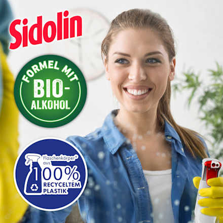 Citrus glasreiniger, 500 ml