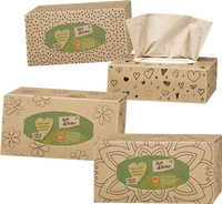 Tissues Box Recycling 3-laags, 160 stuks