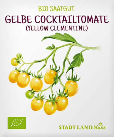 Zaden, gele cocktailtomaat (Gele Clementine), 1 st.