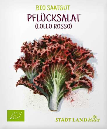 Zaden, bladsla (Lollo Rosso), 1 st.