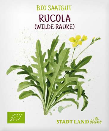 Zaden, rucola (wilde rucola), 1 st.