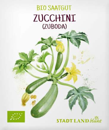 Zaden, courgette (Zuboda), 1 st.